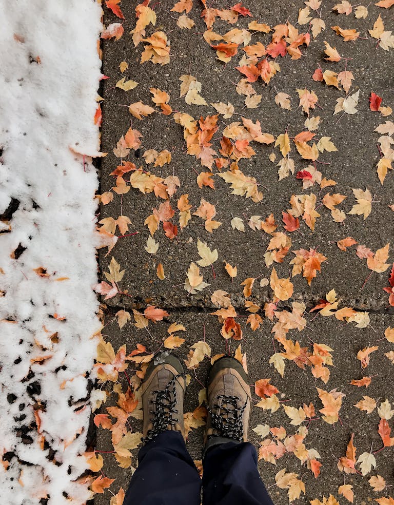 From above faceless person in warm boots standing on pavement covered with fallen leaves and fresh snow